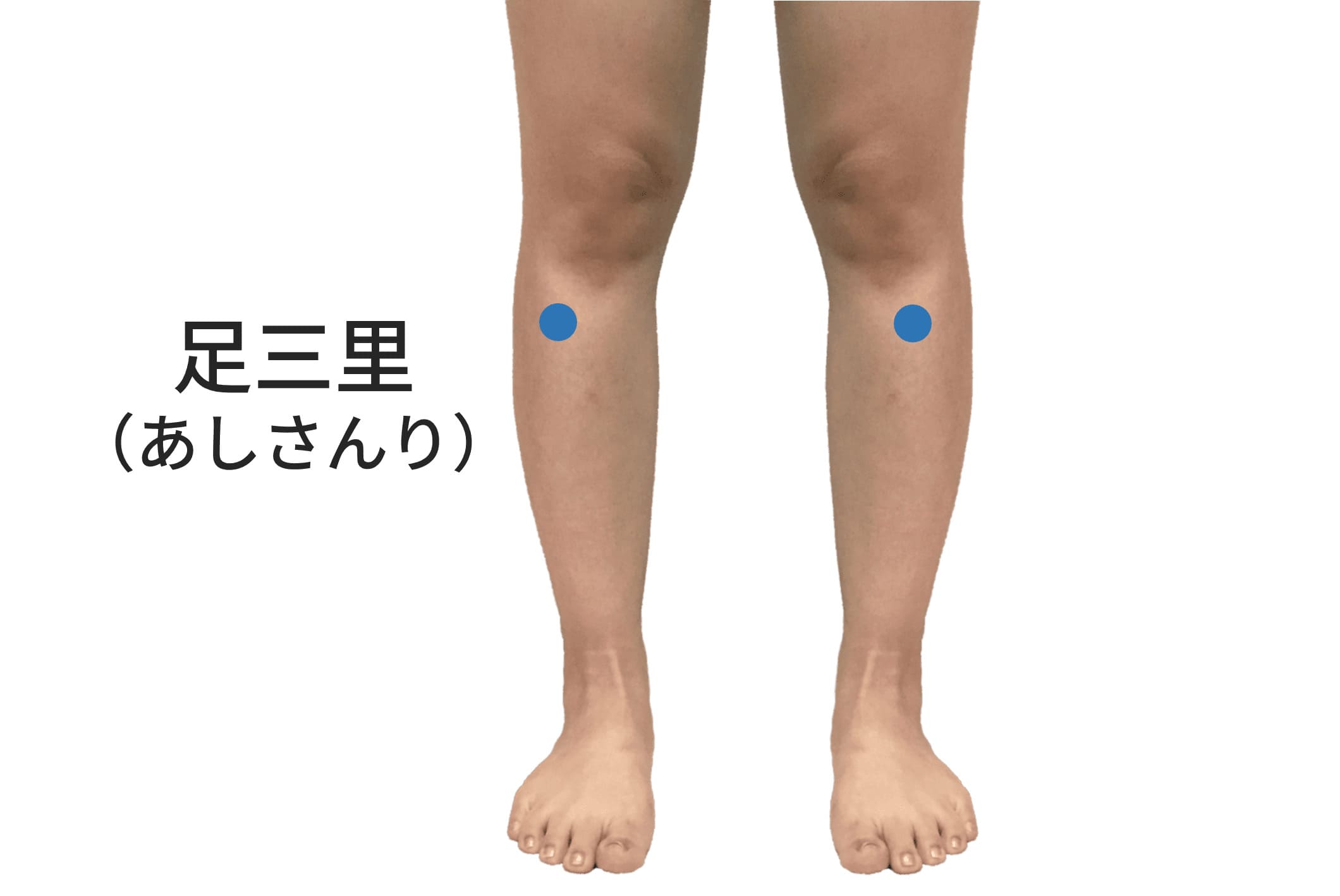 足三里のツボの位置