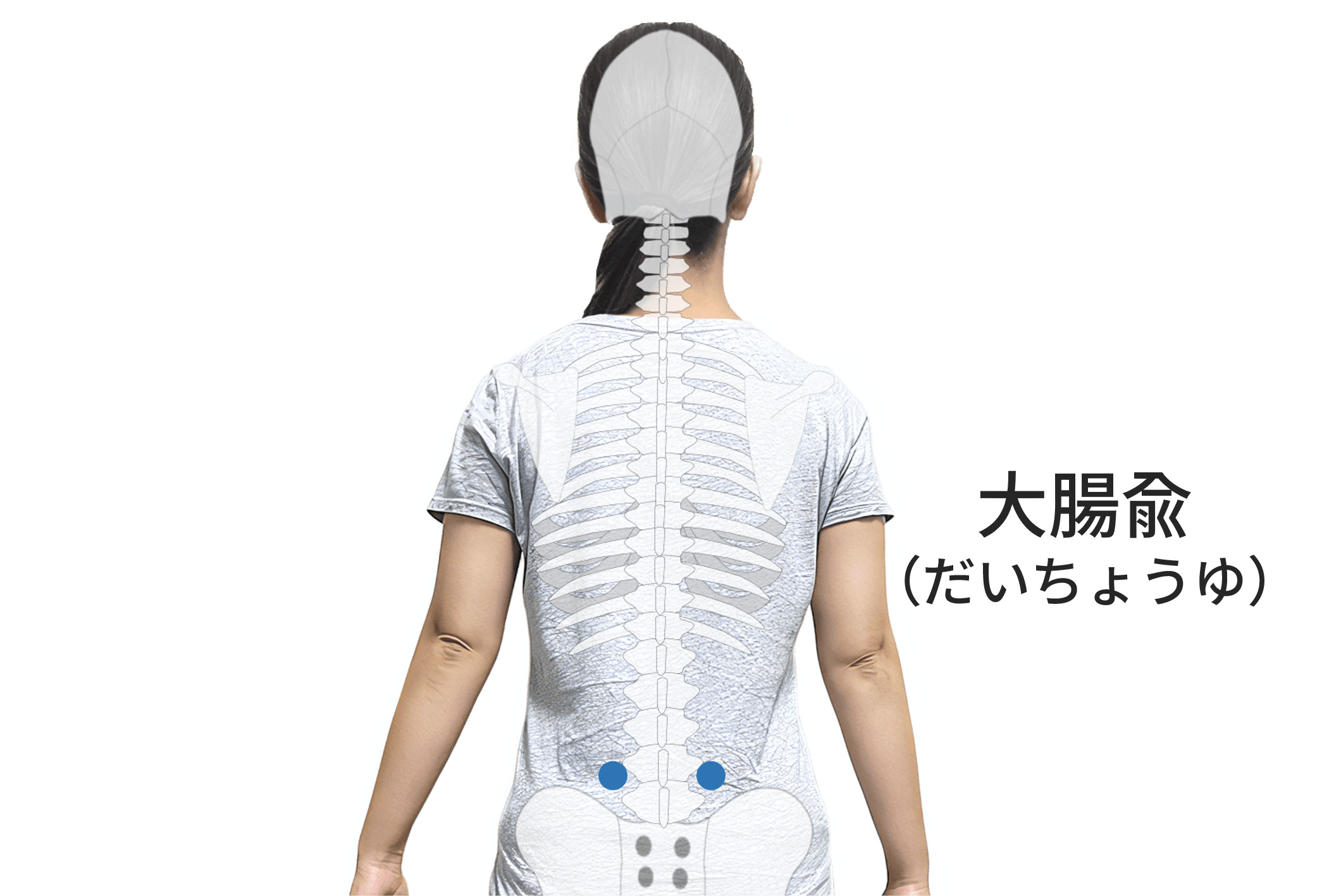 大腸兪（BL25）のツボの位置