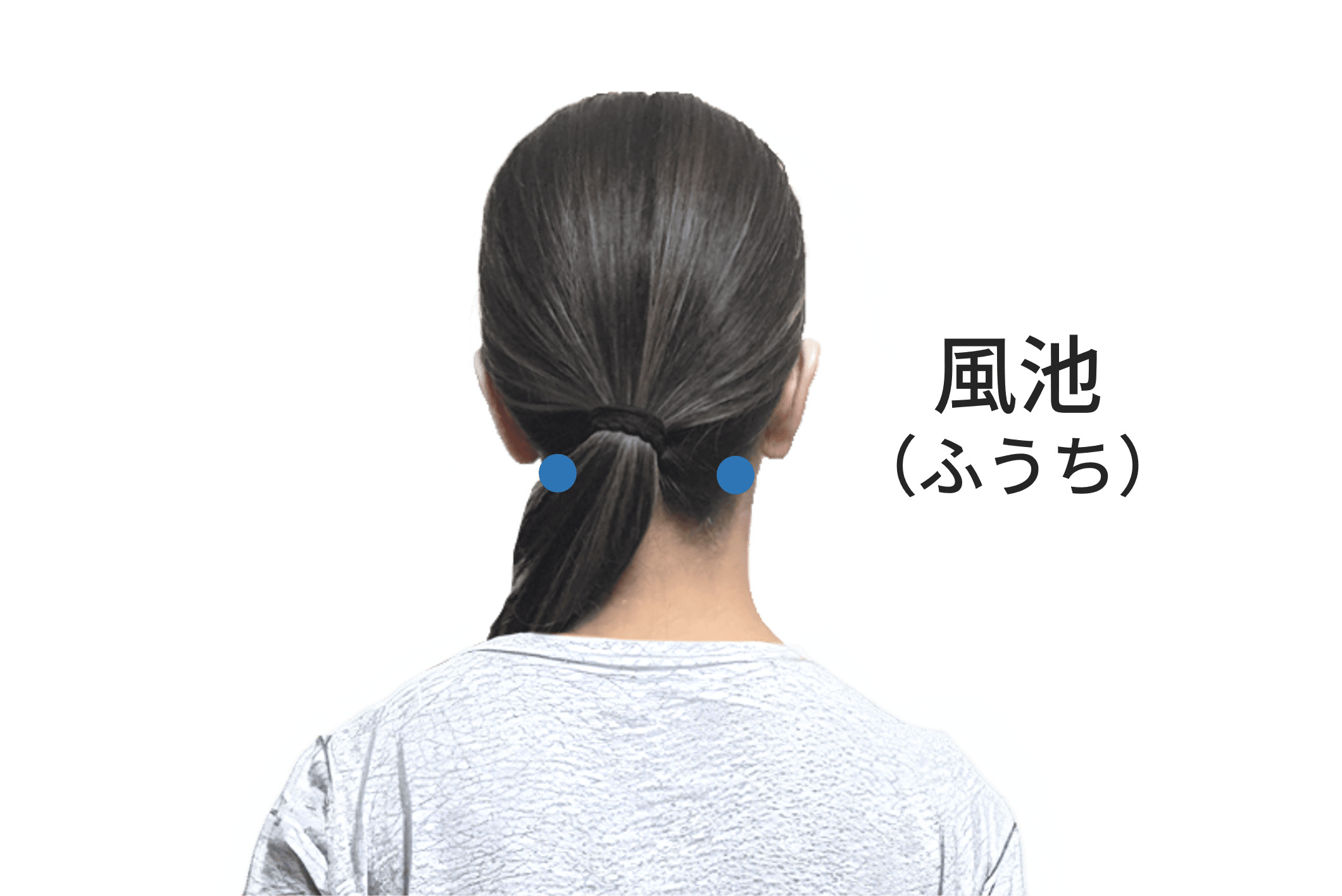 風池のツボの位置