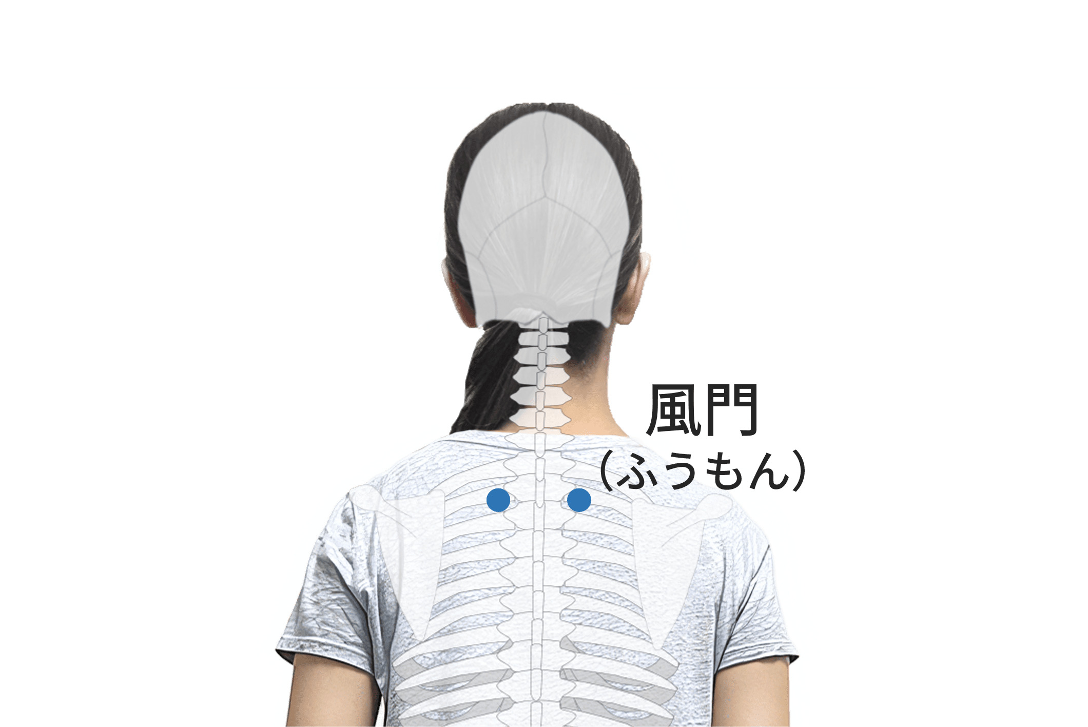 風門のツボの位置