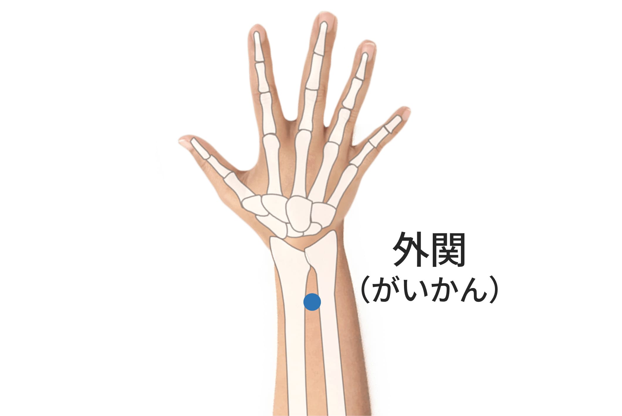 外関のツボの位置