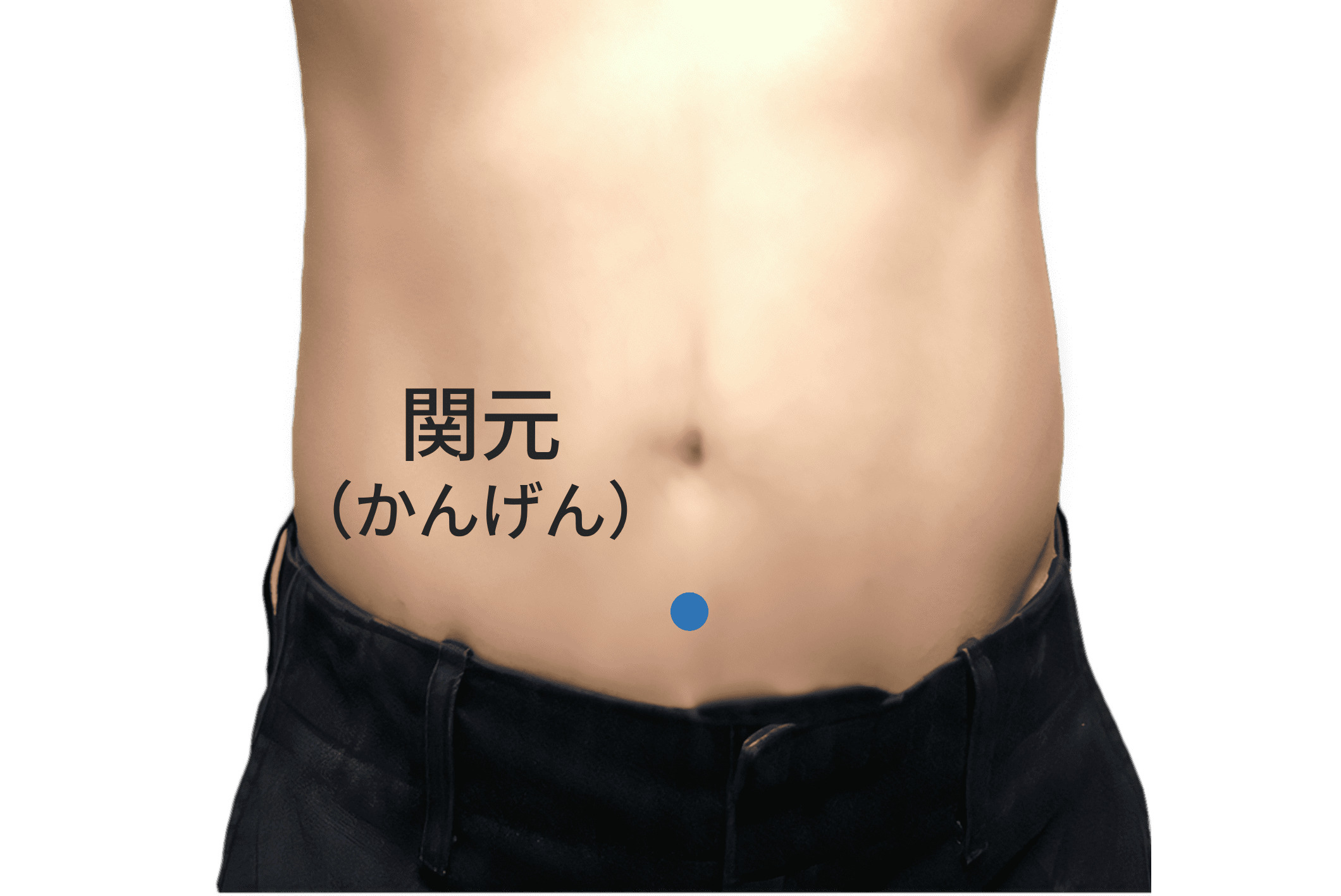 関元のツボの位置