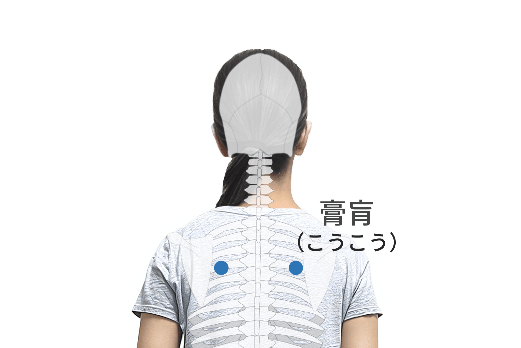 後渓（SI3）のツボの位置