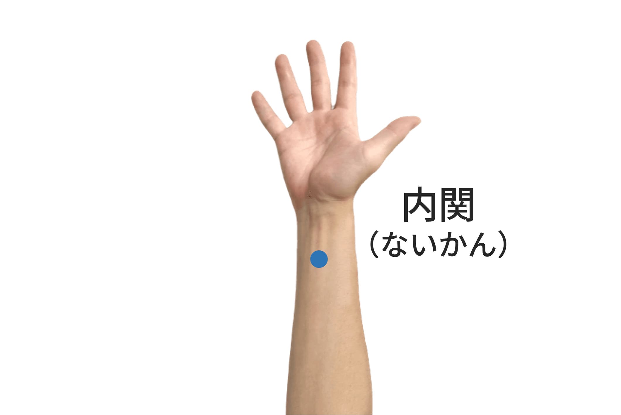 内関のツボの位置