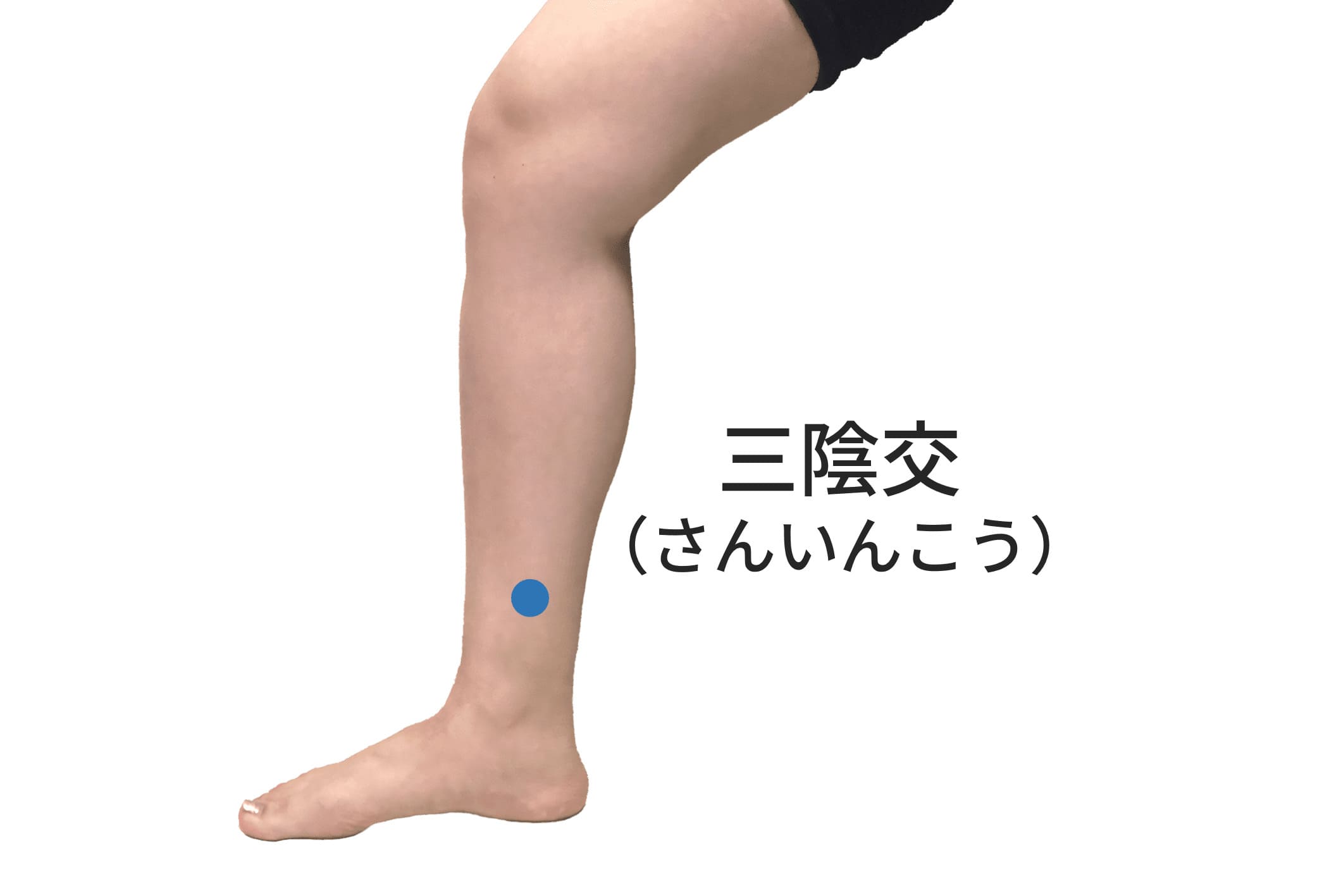 三陰交のツボの位置