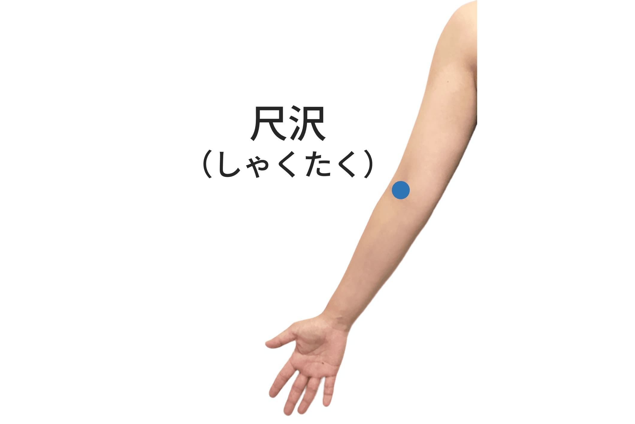 尺沢のツボの位置