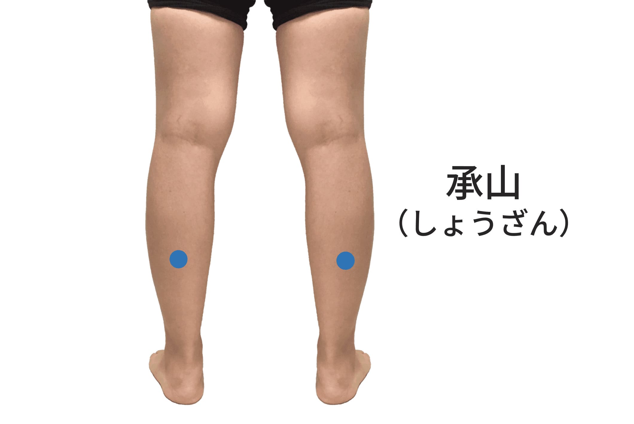 承山のツボの位置