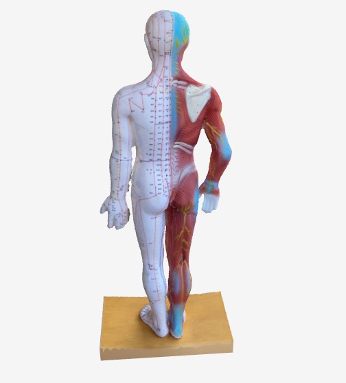 生理痛ツボマップ背面