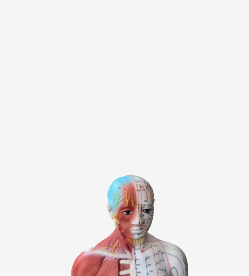 廉泉(CV23)のツボの位置|のど仏の上・あごの下 - いびき改善に効く3Dツボマップ