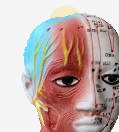 印堂（いんどう）EX-HN3の位置 - 3Dツボマップ