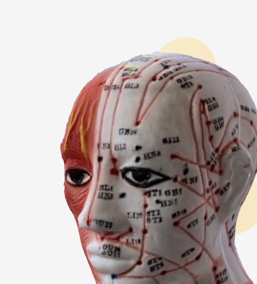 太陽（たいよう）EX-HN5の位置 - 3Dツボマップ