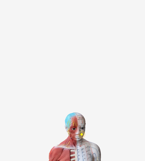 迎香(LI20)のツボの位置|小鼻の横のくぼみ - いびき改善に効く3Dツボマップ