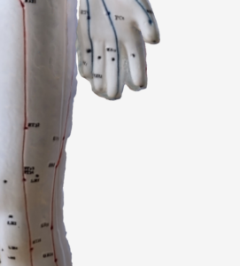 陽谿（LI5）のツボの位置｜手首の甲側・親指を反らしたくぼみ - 3Dツボマップ