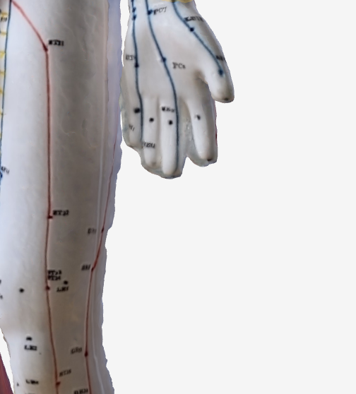 列缺(LU7)のツボの位置|手首の内側・親指側 - 咳に効く3Dツボマップ