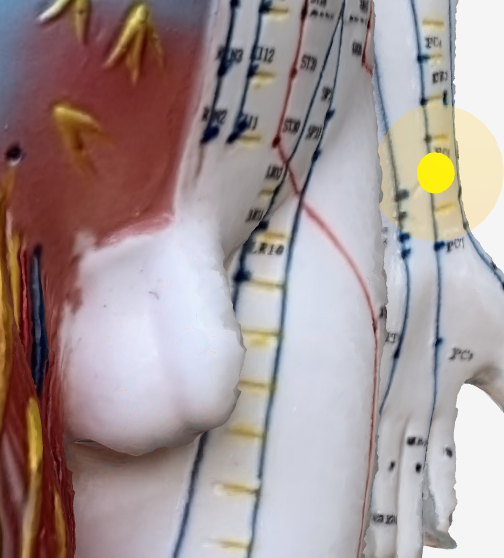 内関(PC6)のツボの位置|手首内側・指3本分上 - 乗り物酔いに効く3Dツボマップ